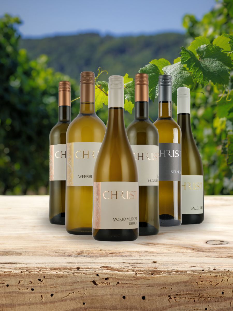 6x Liebliche Lieblinge - Unsere Kennenlern-Weißweinfavoriten